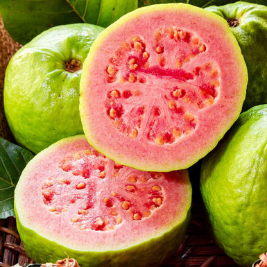Yellow Guava