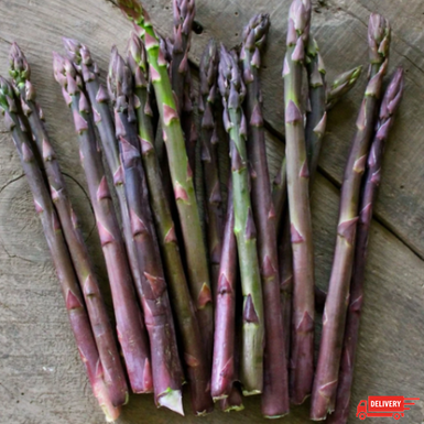 Asparagus Purple Argenteuil 3 Pack Delivered