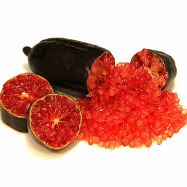 Finger Lime Byron Sunrise Dwarf