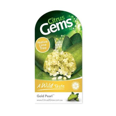 Finger Lime Gold Pearl